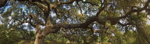 Our District    Santa Cruz County